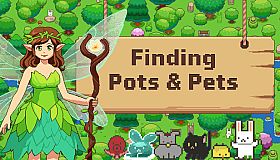 Finding Pots & Pets