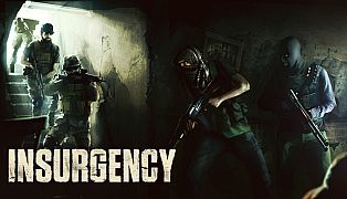 Insurgency Game