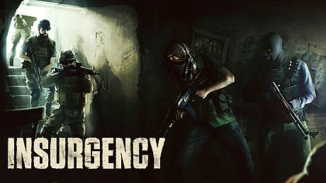 Insurgency Game