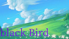 black Bird