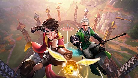 Harry Potter: Quidditch Champions Game