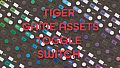 TIGER GAME ASSETS TOGGLE SWITCH