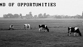 Land Of Opportunities