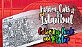Hidden Cats in Istanbul - Printable PDF Coloring Book and Poster