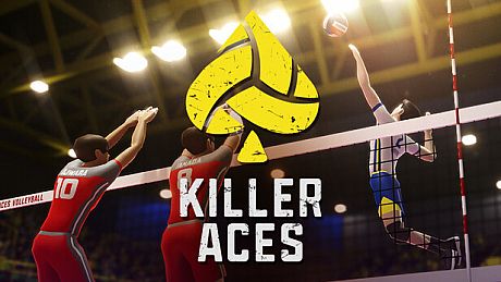 Killer Aces Volleyball Game