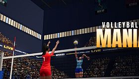 Volleyball Mania