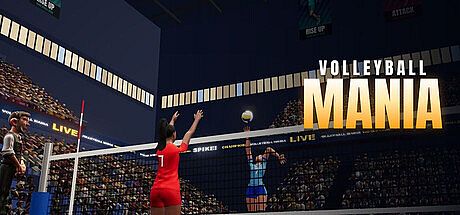 Volleyball Mania Game