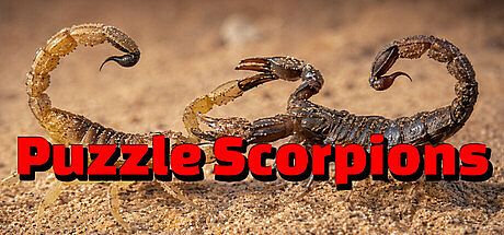 Puzzle Scorpions Game