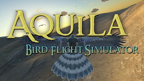 Aquila Bird Flight Simulator