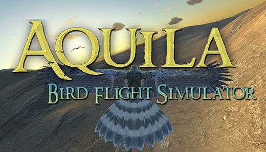 Aquila Bird Flight Simulator