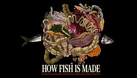 How Fish Is Made