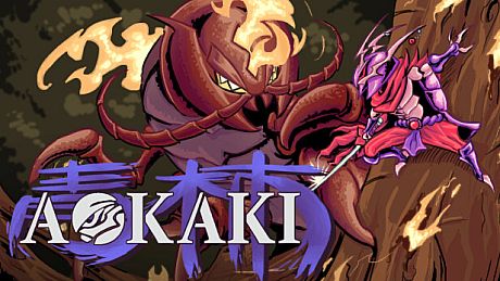 AOKAKI Game