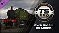 Train Simulator: GWR Small Prairies Loco Add-On