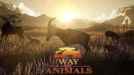 Way Of Animals Game