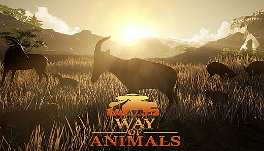 Way Of Animals