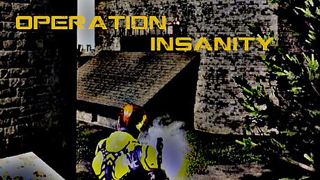 Operation Insanity Game