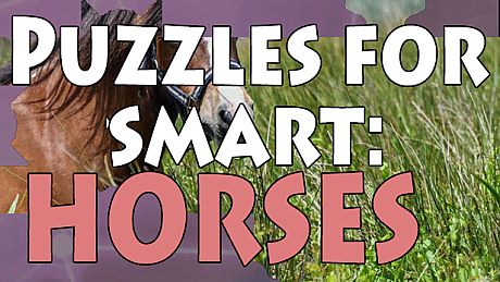 Puzzles for smart: Horses Game