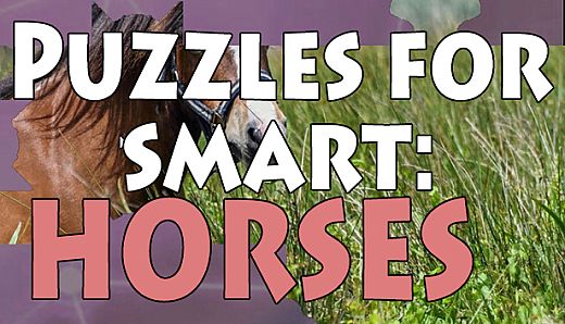 Puzzles for smart: Horses