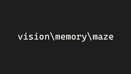 vision\memory\maze Game