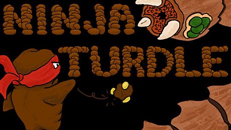 Ninja Turdle Game