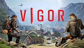 Vigor