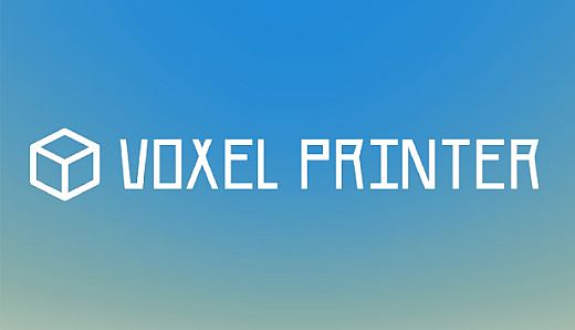 Voxel Printer