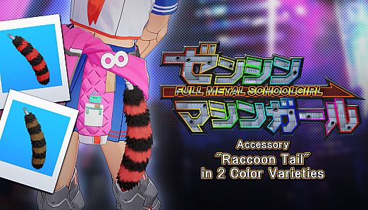 Accessory: "Raccoon Tail" in 2 Color Varieties