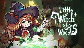 Little Witch in the Woods