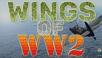 Acheter Wings Of WW2 PC