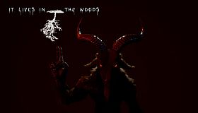 ItLivesInTheWoods