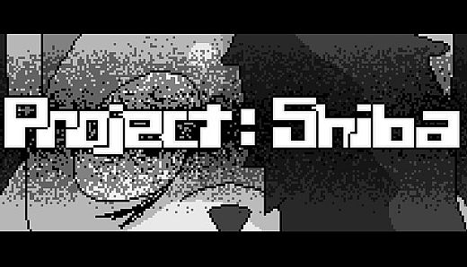 Project: Shiba