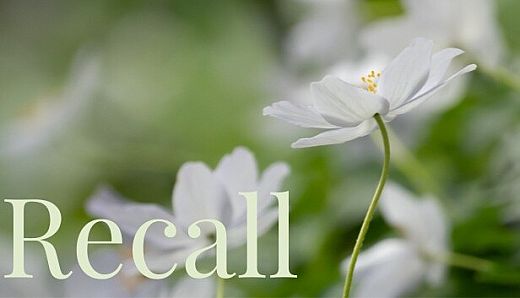 Recall