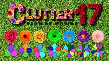 Clutter 17: Flower Power - Collector's Edition Game