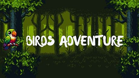 Birds Adventure Game