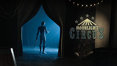 The Moonlight Circus Game