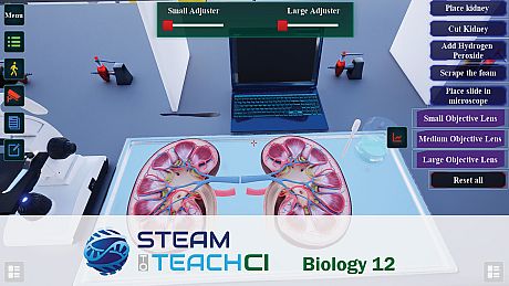Steam To Teach CI Biology 12 Game