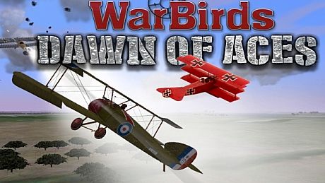 WarBirds Dawn of Aces, World War I Air Combat Game