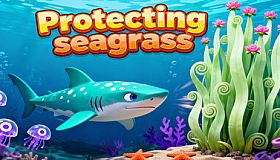 Protecting seagrass 保护海草