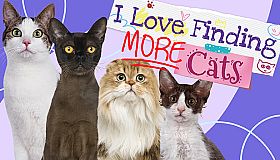 I Love Finding MORE Cats