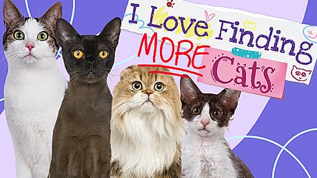 I Love Finding MORE Cats Game