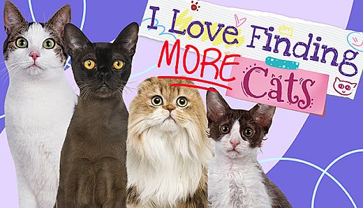 I Love Finding MORE Cats