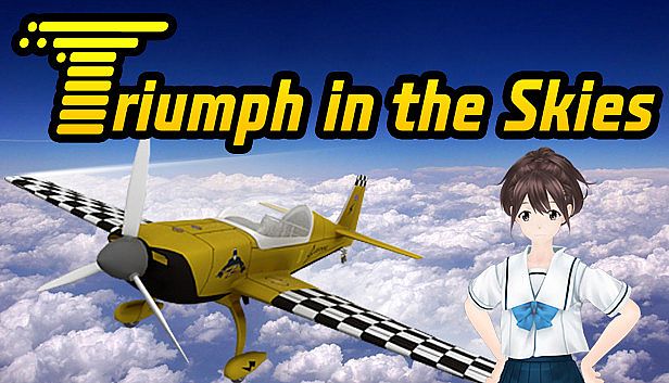 Buy Triumph in the Skies