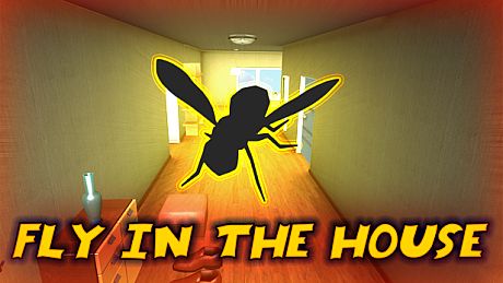Fly in the House