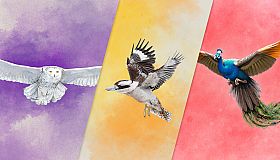 European + Oceania + Asia