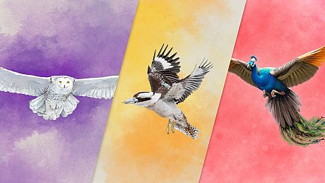 European + Oceania + Asia Game