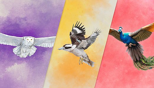 European + Oceania + Asia