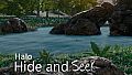 Hide and Seek - Halo
