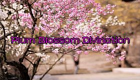 Plum Blossom Divination