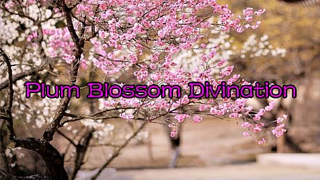 Plum Blossom Divination Game