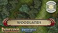 Fantasy Grounds - Pathfinder RPG - Pathfinder Flip-Mat - Classic Woodlands